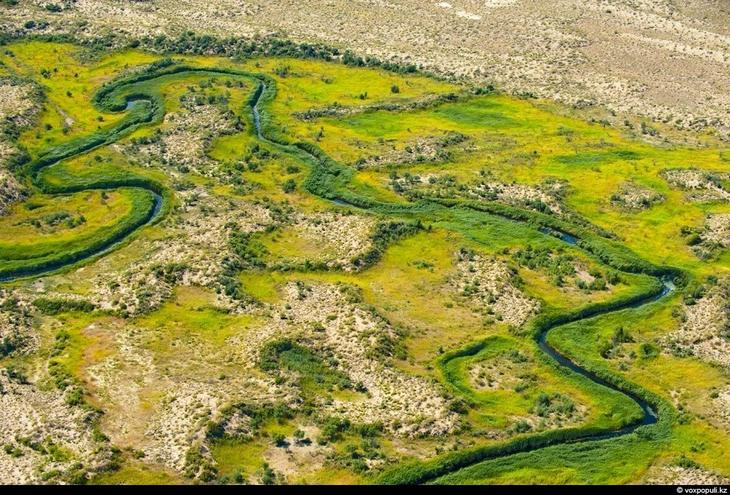 Казахстан: каким его видят птицы