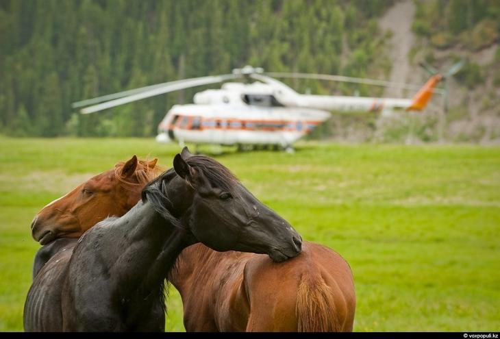 Казахстан: каким его видят птицы