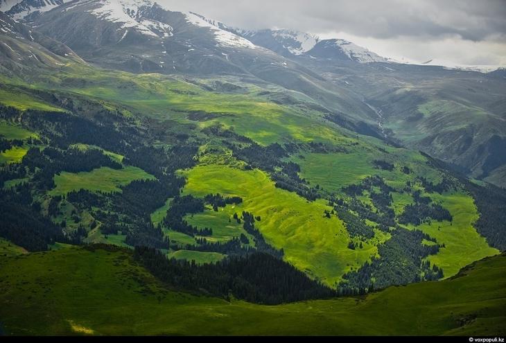 Казахстан: каким его видят птицы