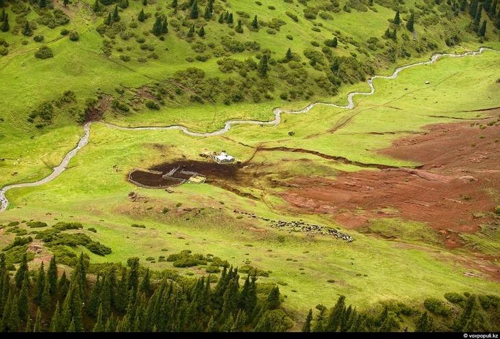 Казахстан: каким его видят птицы