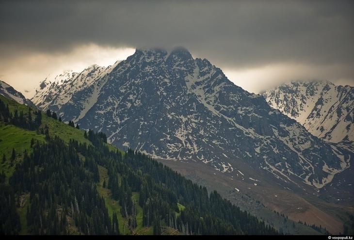 Казахстан: каким его видят птицы