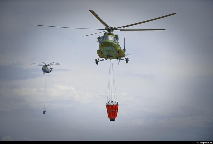 Казахстан: каким его видят птицы