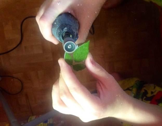 Мастер-класс по созданию украшений своими руками из живых цветов и эпоксидной смолы