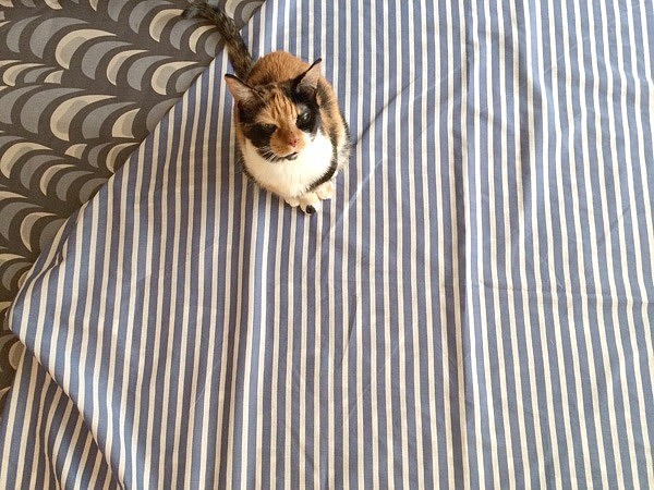 На природу: корзинки, сумки и коврики для пикника своими руками — 5 мастер-классов