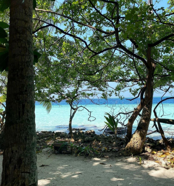 «Один из лучших в бюджетном сегменте»: отзыв об отдыхе в отеле-острове на Мальдивах