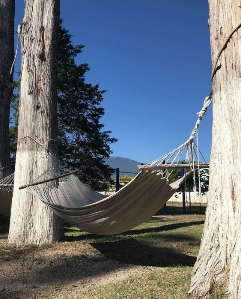 «Оказывается, это удобно»: отзыв об отдыхе в Абхазии через турагентство