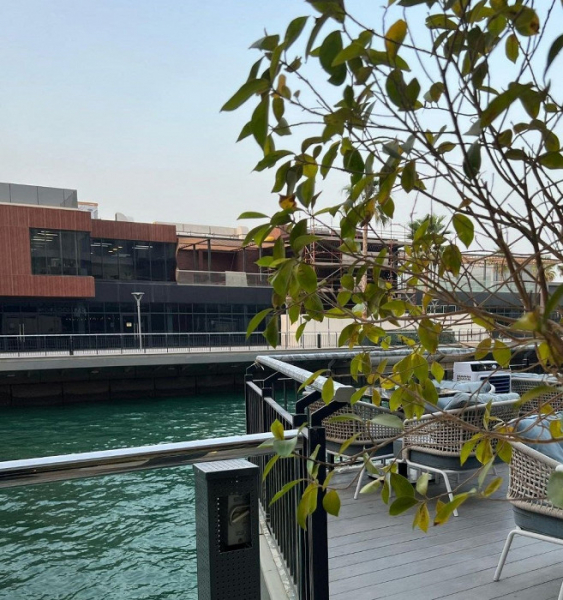 «Открытые купальники, алкоголь и танцы»: восторженный отзыв об отдыхе в Бахрейне