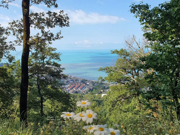 «Рады, что решились поехать, но есть куда расти»: отзыв об отдыхе в Сочи