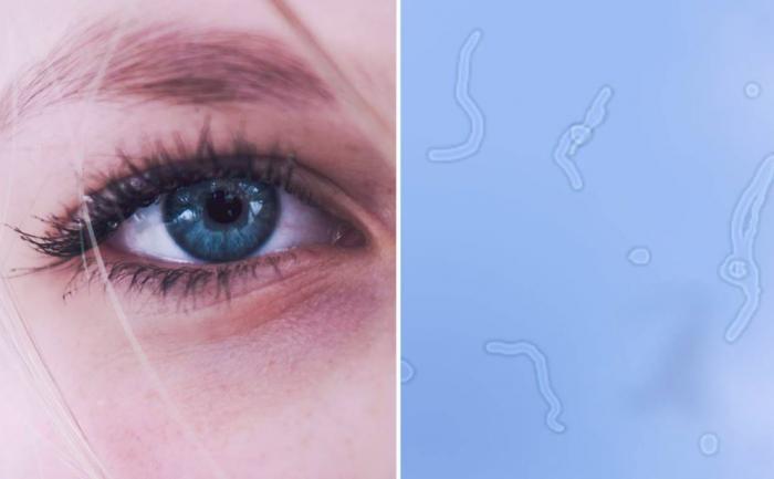 10 ответов на вопросы, которые мы всегда хотели знать