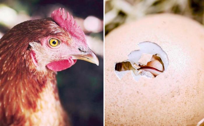 10 ответов на вопросы, которые мы всегда хотели знать