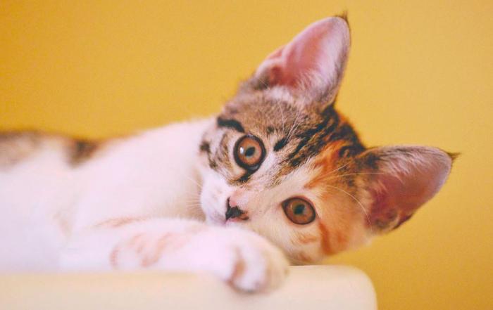 10 ответов на вопросы, которые мы всегда хотели знать