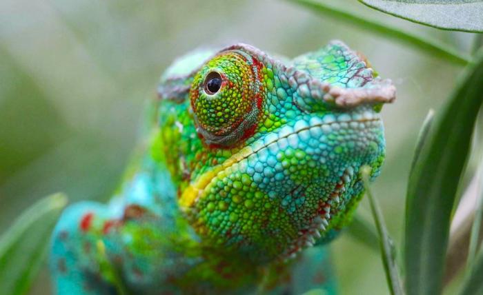 10 ответов на вопросы, которые мы всегда хотели знать