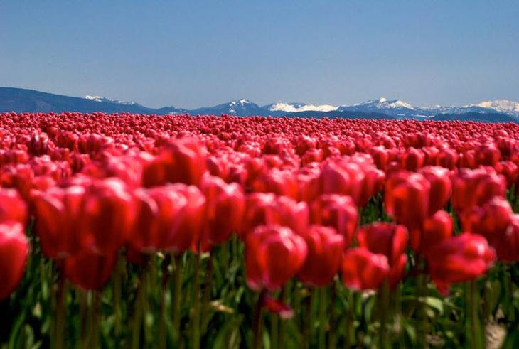 10 самых необычных мест в Соединенных Штатах Америки