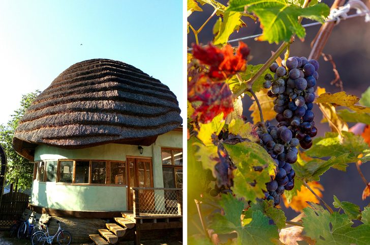 12 стран для осеннего отдыха, которые подойдут тем, кто привык беречь копеечку