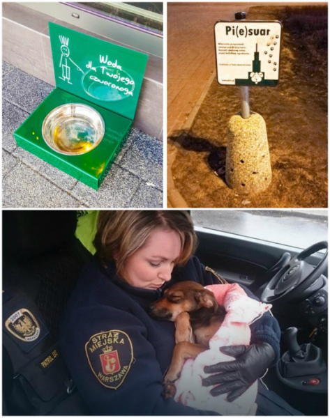 12 вещей в Польше, которые для туристов станут настоящим сюрпризом