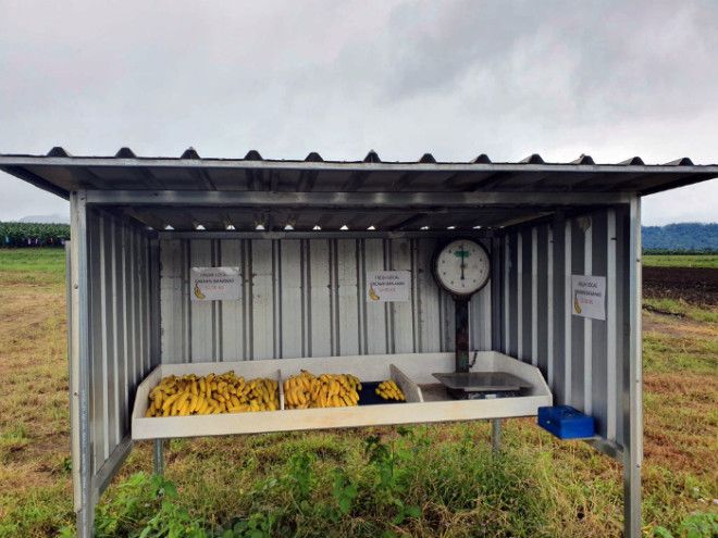 14 фишек из разных стран, которые говорят о заботе и прогрессе