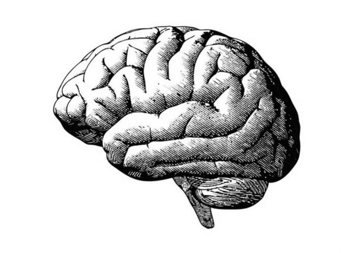 14 впечатляющих малоизвестных фактов