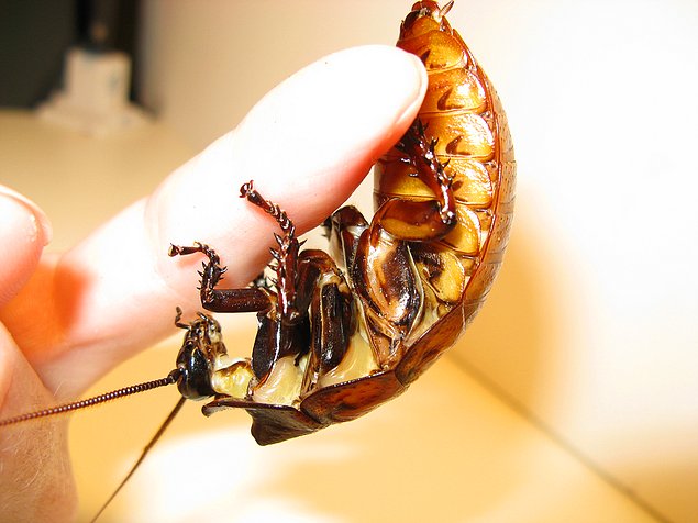 17 интересных фактов о таинственном космосе, которые вас сильно удивят