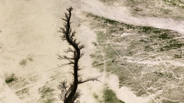 Засуха в Китае: погасшие огни Шанхая, пересохшая Янцзы и искусственные тучи