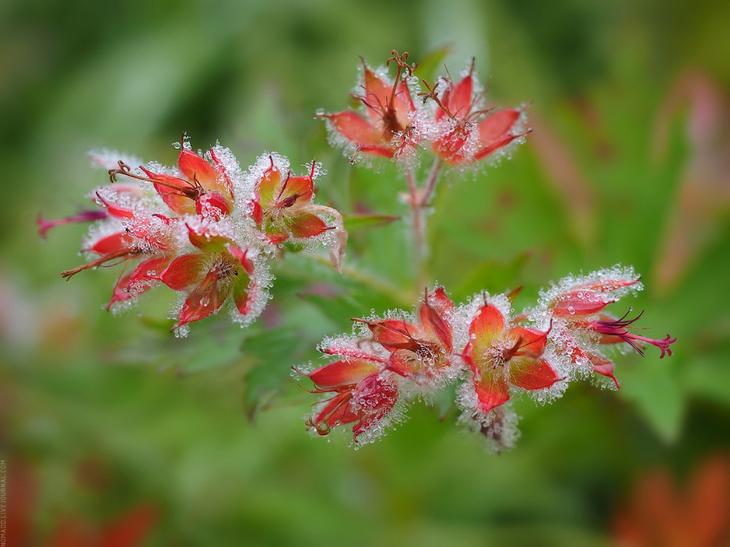 Большое камчатское путешествие