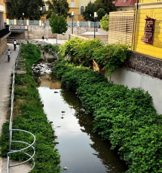 Дружелюбие, большие расстояния и жара: отзыв об отдыхе в Венгрии