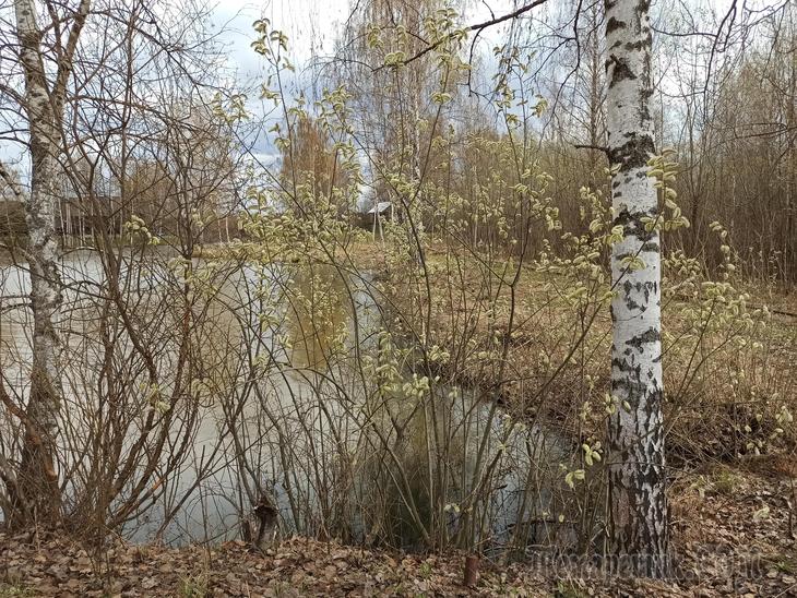 Кострома. День третий. Завершающий.