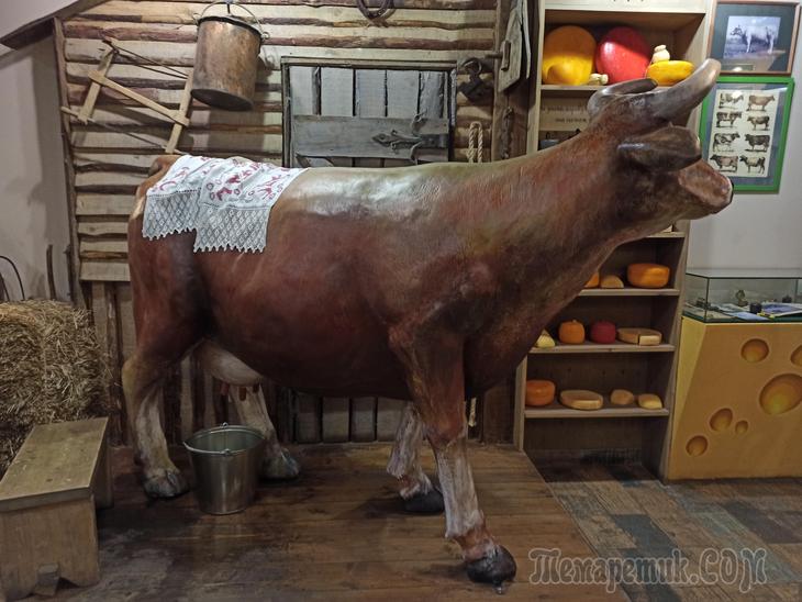 Кострома. День третий. Завершающий.