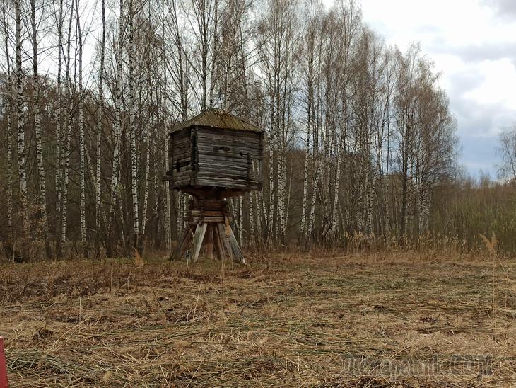 Кострома. День третий. Завершающий.