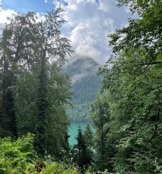 «Лучший отель среди худших»: отзыв об отдыхе в Абхазии по «смешной цене»