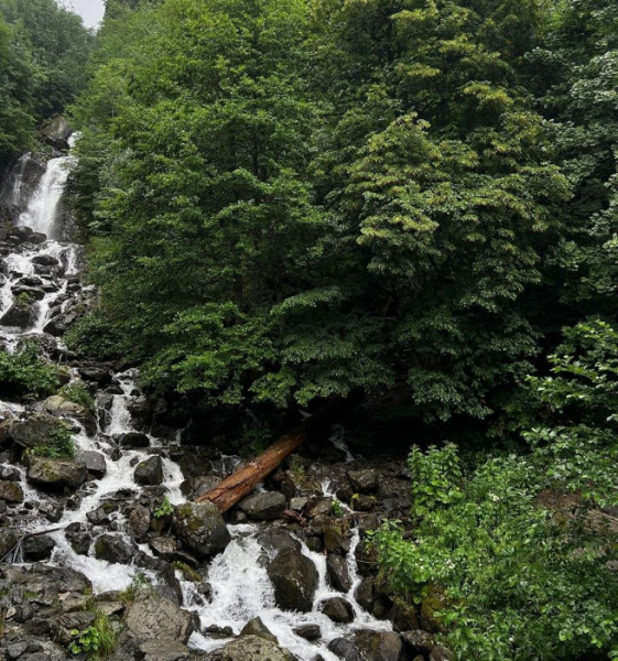 «Лучший отель среди худших»: отзыв об отдыхе в Абхазии по «смешной цене»