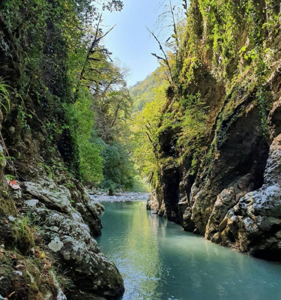Много краж, обман с экскурсиями и в ресторанах, но отдых понравился: отзыв об Абхазии