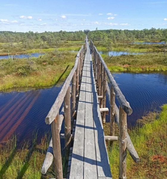 «Никакого предвзятого отношения к россиянам»: отзыв о путешествии по Финляндии и Прибалтике