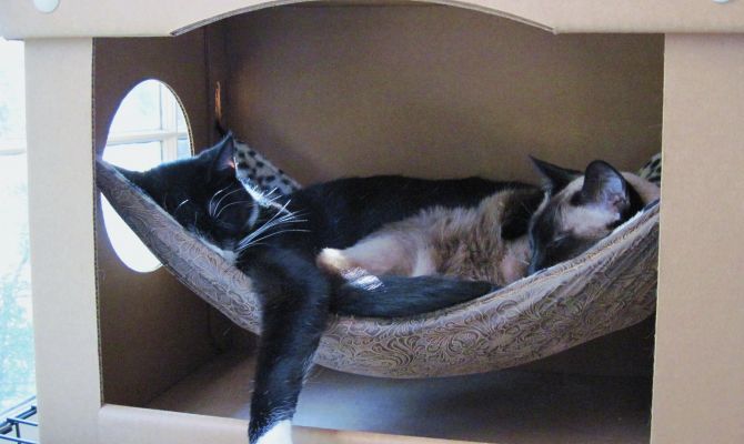 Оригинальные домики для кошки своими руками - выбор конструкции, идеи