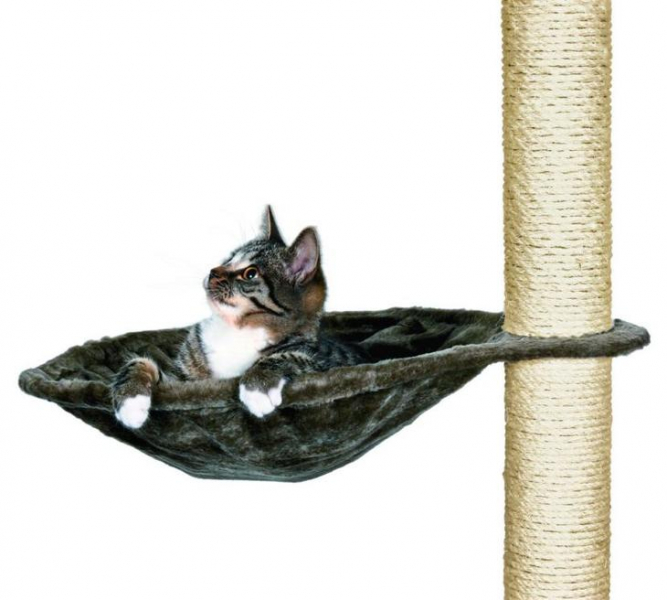 Оригинальные домики для кошки своими руками - выбор конструкции, идеи