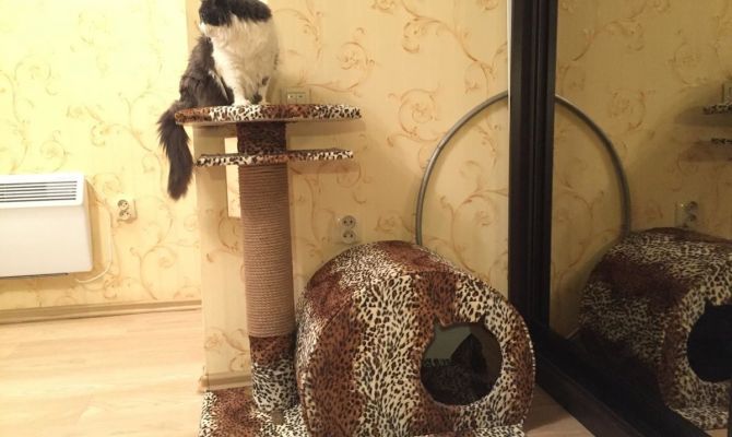 Оригинальные домики для кошки своими руками - выбор конструкции, идеи