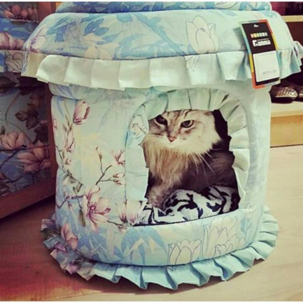 Оригинальные домики для кошки своими руками - выбор конструкции, идеи