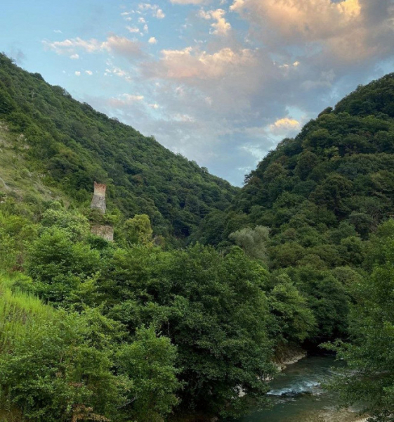 «Плотные объятия с унитазом», высокая влажность и отсутствие медпомощи: отзыв об отдыхе в Абхазии