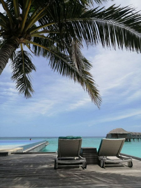 Под белы рученьки привели в рай: отзыв туристки о Мальдивах