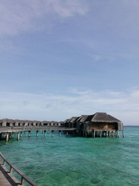 Под белы рученьки привели в рай: отзыв туристки о Мальдивах