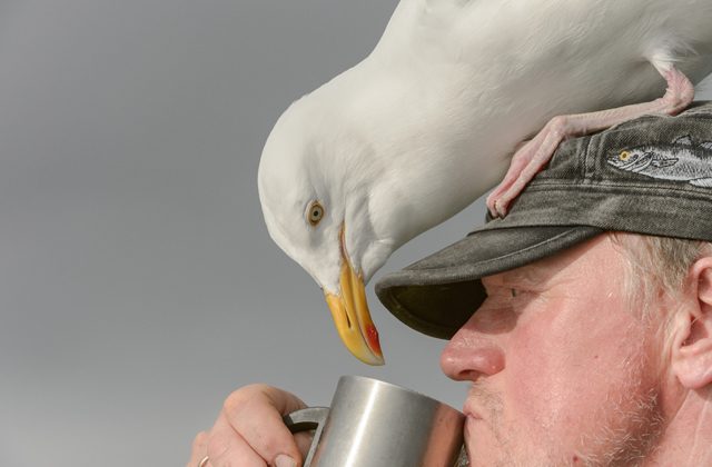 Правда и мифы о Норвегии и норвежцах