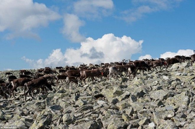 Прогулка по красивейшим европейским национальным паркам