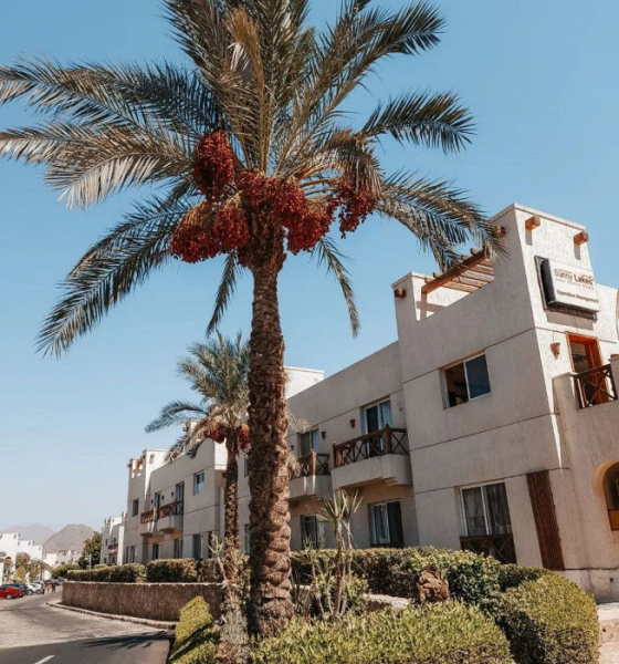 «Сэкономили 22 тысячи!»: отзыв об отдыхе в Шарм-эль-Шейхе по системе «Фортуна»