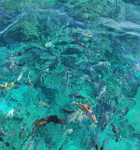 «Сэкономили 22 тысячи!»: отзыв об отдыхе в Шарм-эль-Шейхе по системе «Фортуна»