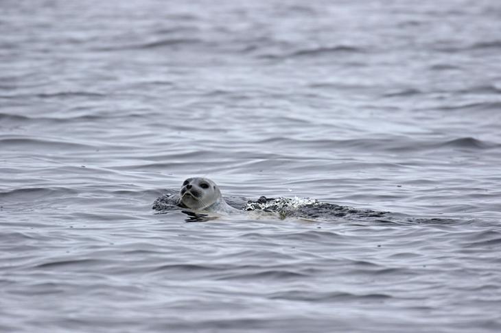 Семь «тихих» мест, где редко бывают люди