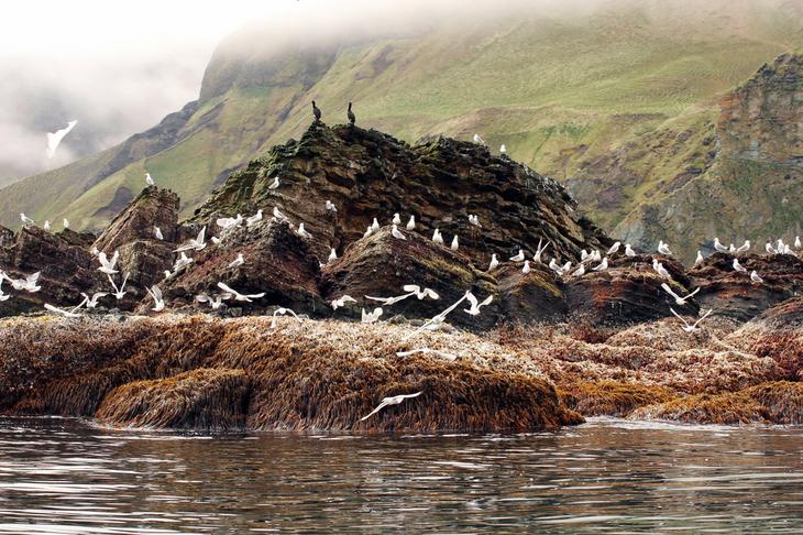 Семь «тихих» мест, где редко бывают люди