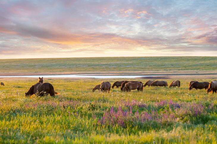 Семь «тихих» мест, где редко бывают люди