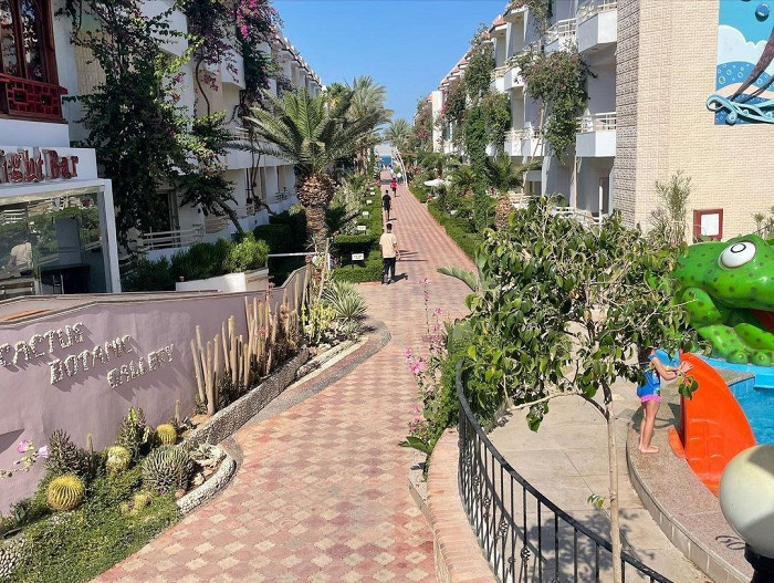 «Все еще остался страх перед акулами»: отзыв об отдыхе в Хургаде