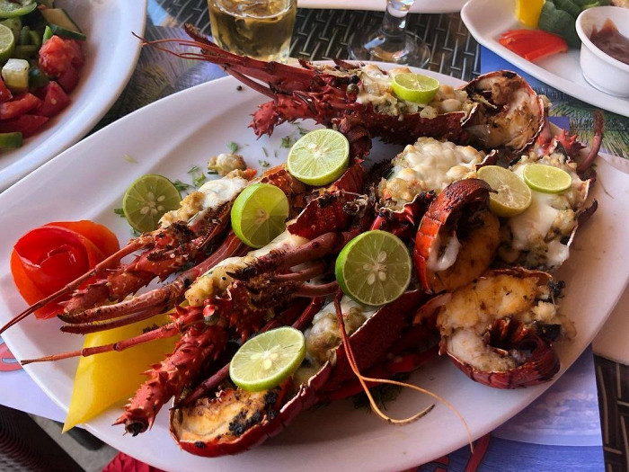 «Все еще остался страх перед акулами»: отзыв об отдыхе в Хургаде