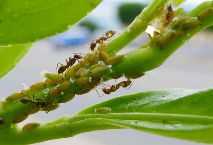 10 тайн живой природы, над которыми всё ещё бьются учёные