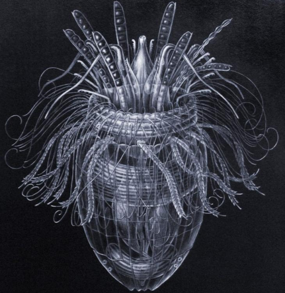 10 тайн живой природы, над которыми всё ещё бьются учёные